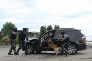 Special Action Service of Constanta County Police Inspectorate (SAS Constanta)