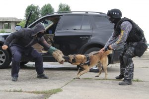 Special Action Service of Constanta County Police Inspectorate (SAS Constanta)